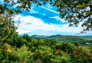 Manjadvorci