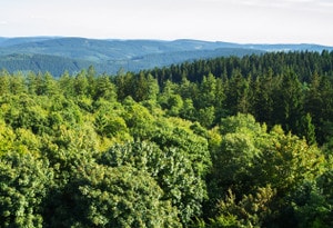 Landkreis Waldeck-Frankenberg