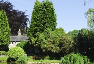 Buxton