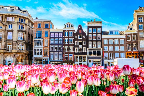 Häuser in Amsterdam - Kurzurlaub in Holland