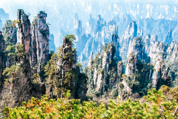 Felsformationen im Zhangjiajie Nationalpark in China