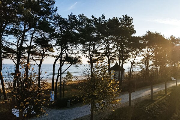 Blick auf das Meer, Rügen