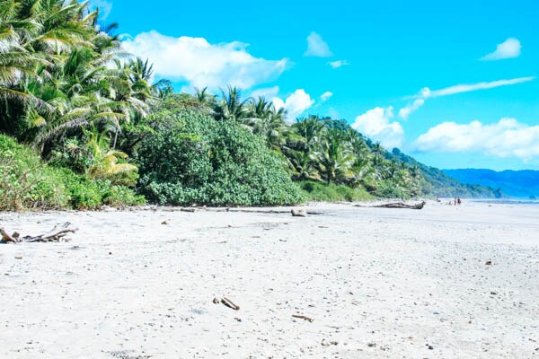 Strand und Wald auf Costa Rica