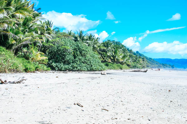 Strand und Wald auf Costa Rica