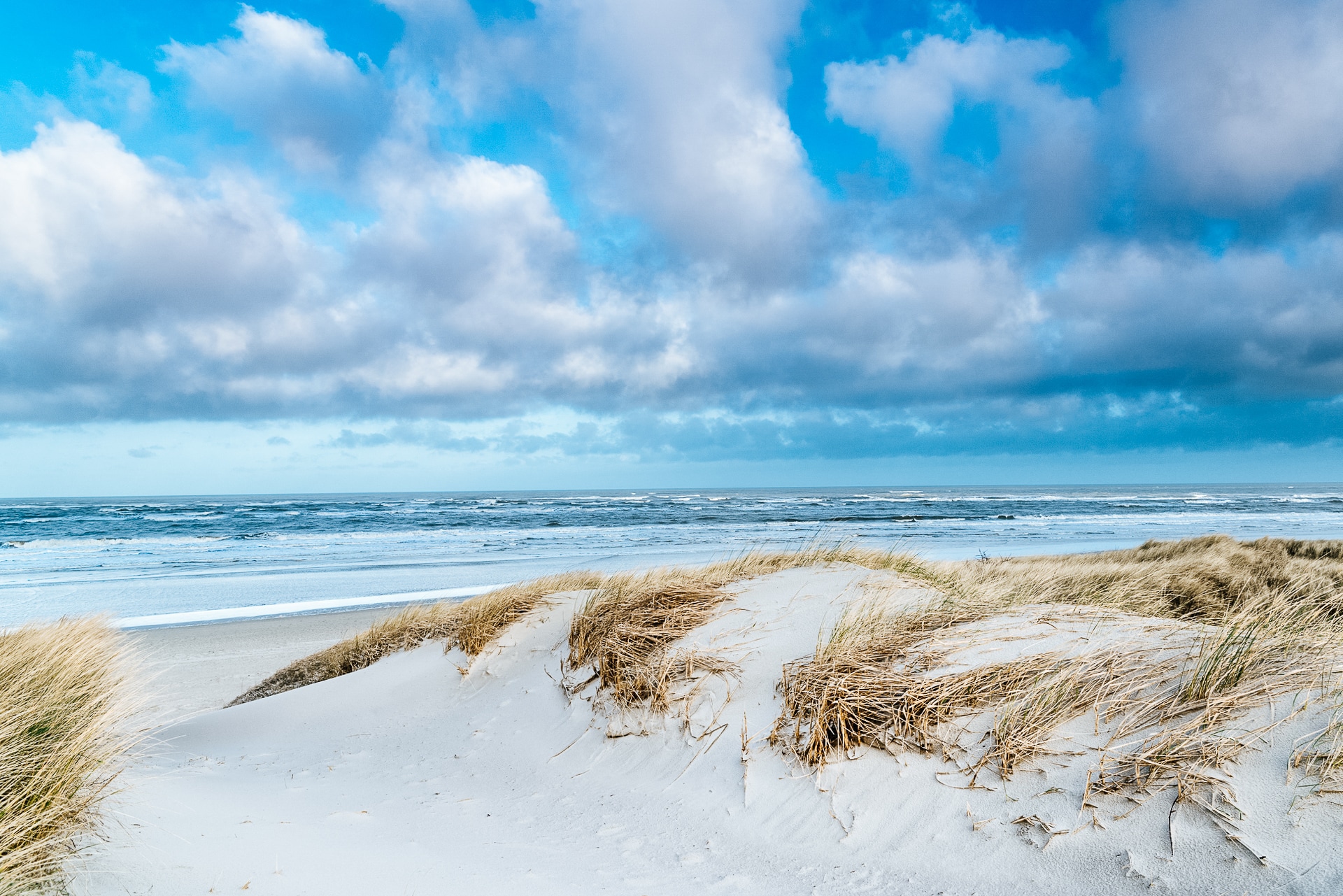 14 Hundestrände für einen tierisch guten Urlaub an der Nordsee ... 14 Hundestrände für einen tierisch guten Urlaub an der Nordsee ...