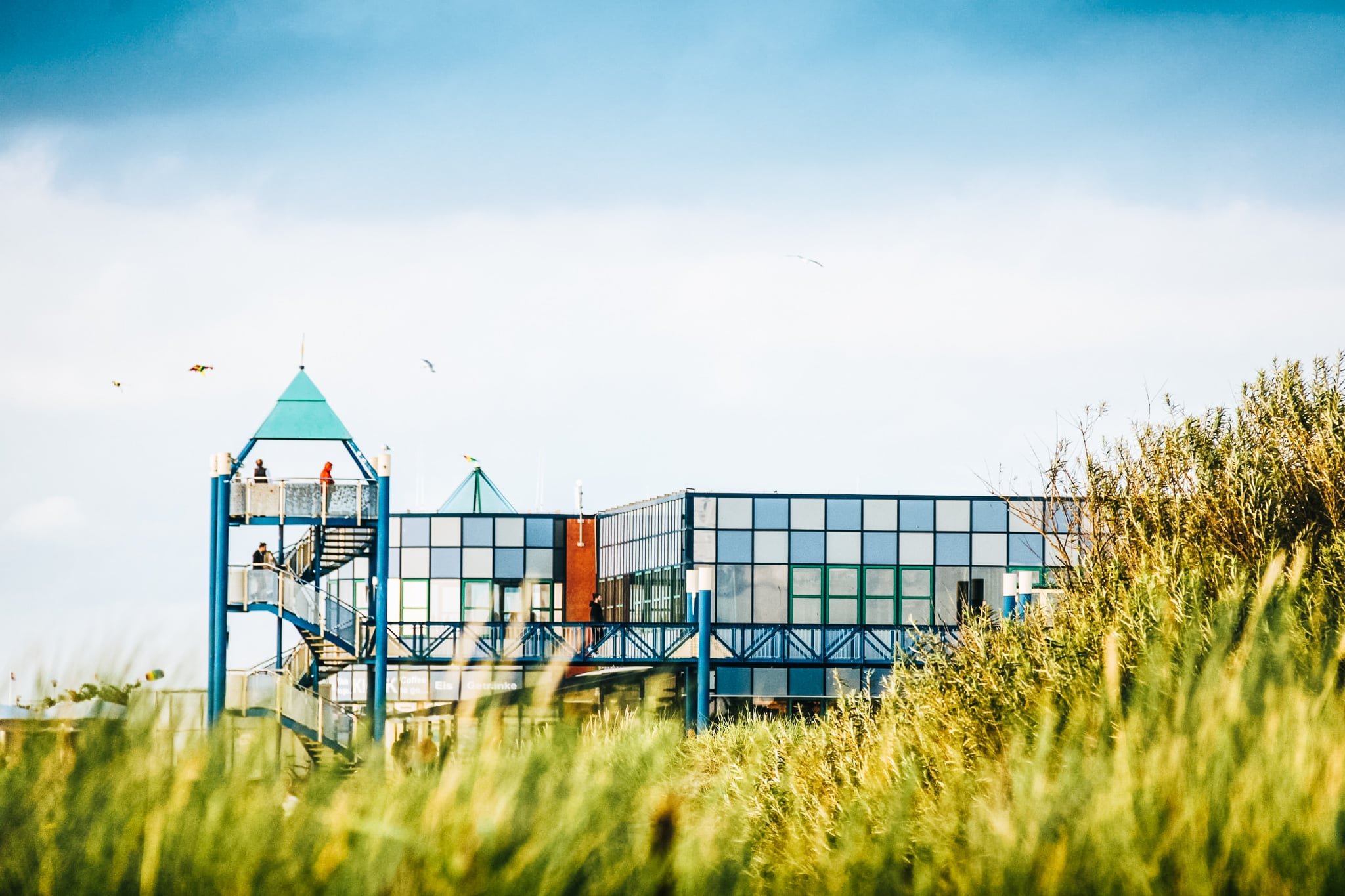 14 Hundestrände für einen tierisch guten Urlaub an der Nordsee ... 14 Hundestrände für einen tierisch guten Urlaub an der Nordsee ...