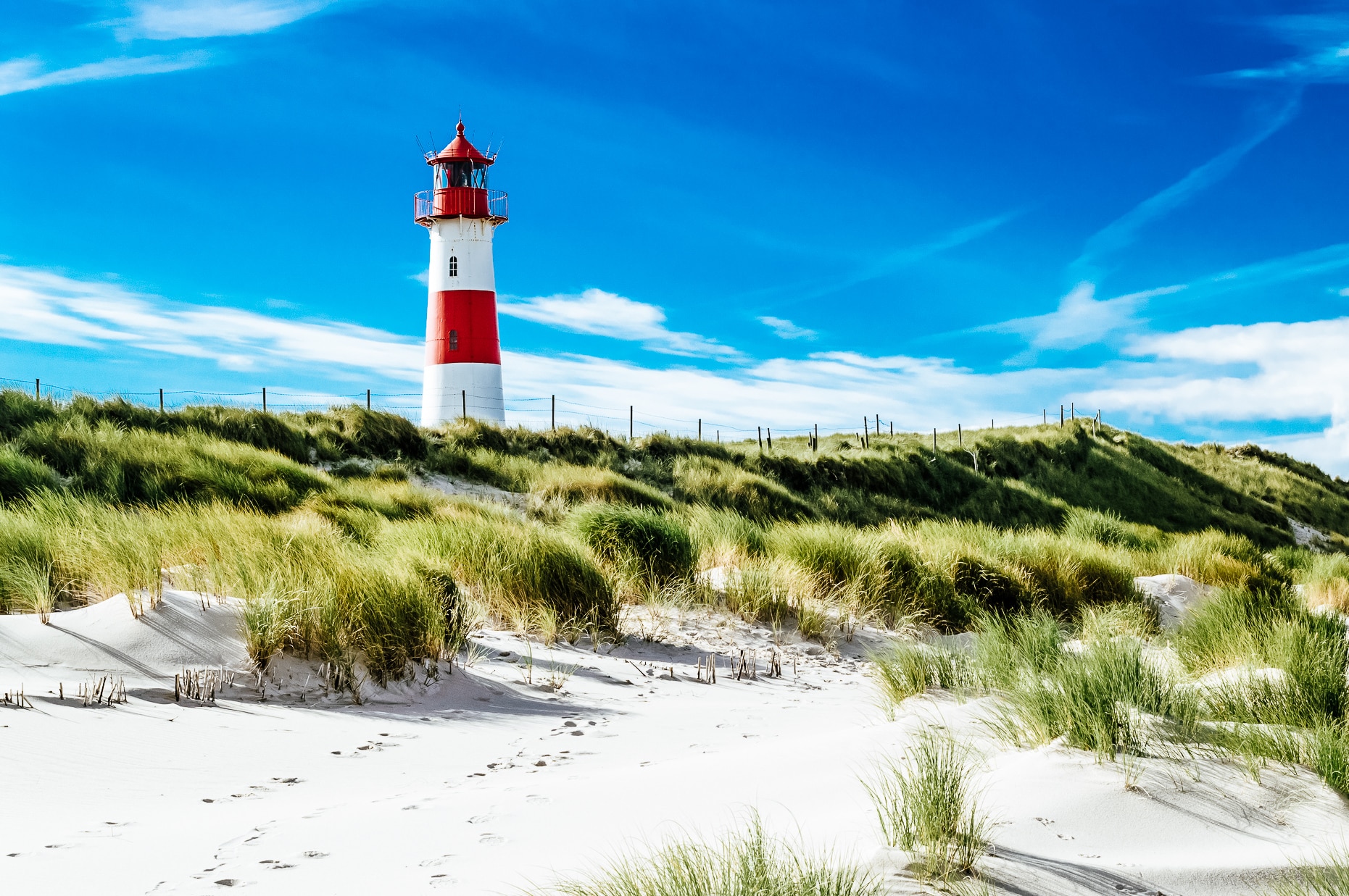 14 Hundestrände für einen tierisch guten Urlaub an der Nordsee ... 14 Hundestrände für einen tierisch guten Urlaub an der Nordsee ...