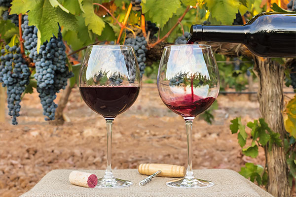 Weingläser mit Rotwein und Weintrauben