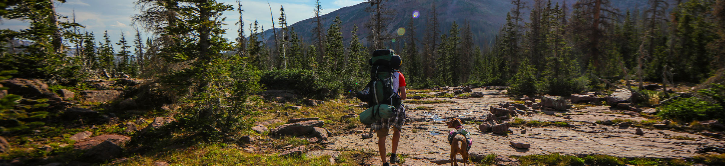 Mann mit Rucksack und Hund beim Wandern im Harz