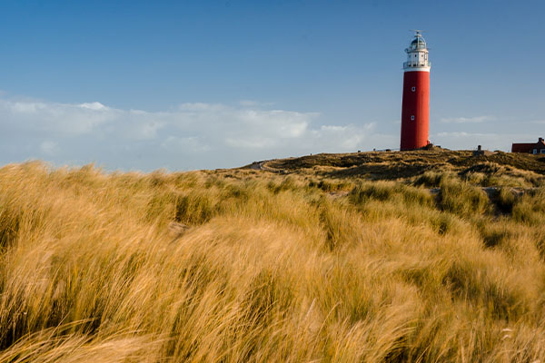 Roter Leuchtturm von Texel in den Dünen