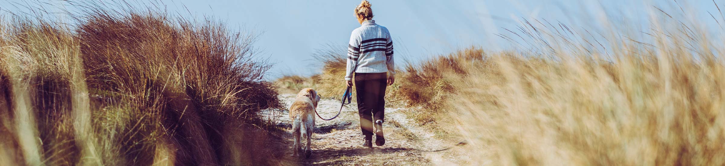 Eine Frau spaziert mit ihrem Hund über eine Düne.
