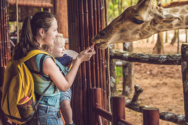 Mama und Kind füttern Giraffe im Tierpark