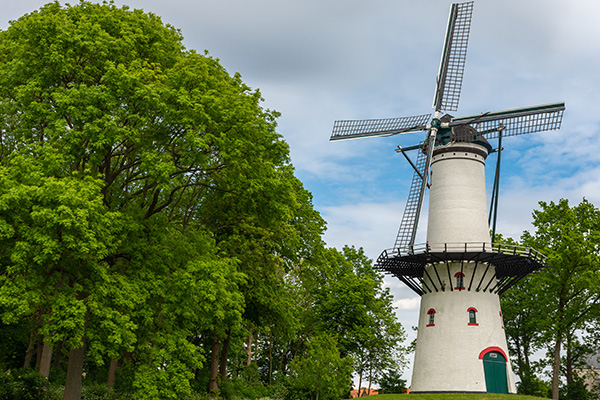Windmühle in Tholen