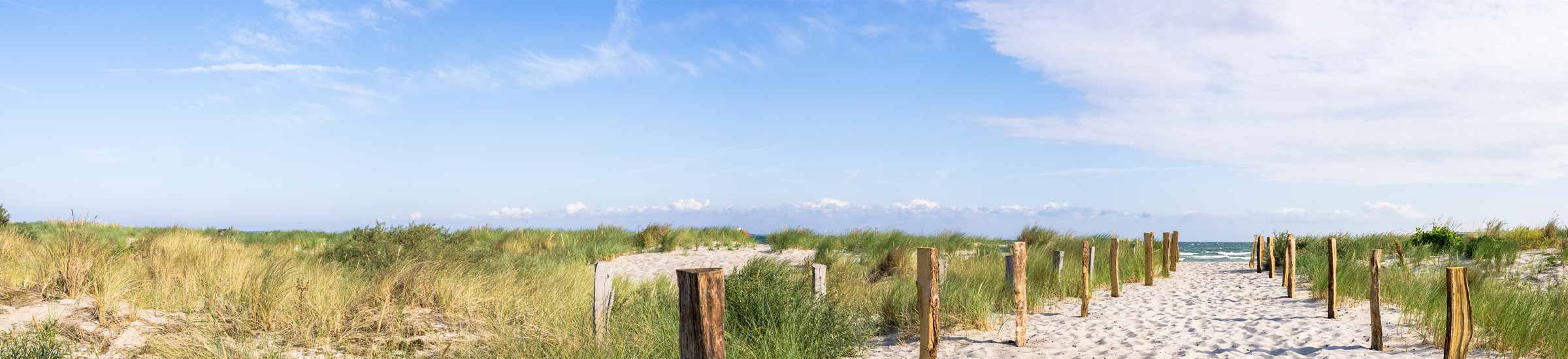 Strandzugang zwischen Schildbewachsenen Dünen