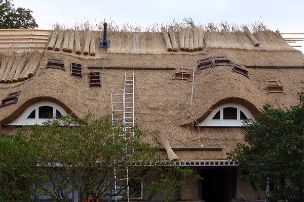 Renovierung des Reetdachs vom Ferienhaus "Altes Schifferhaus"