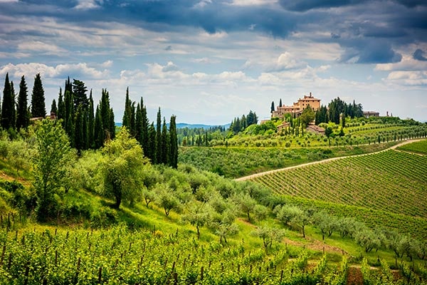 Die Region Chianti in der Toskana ist mit grünen Weinbergen gespickt