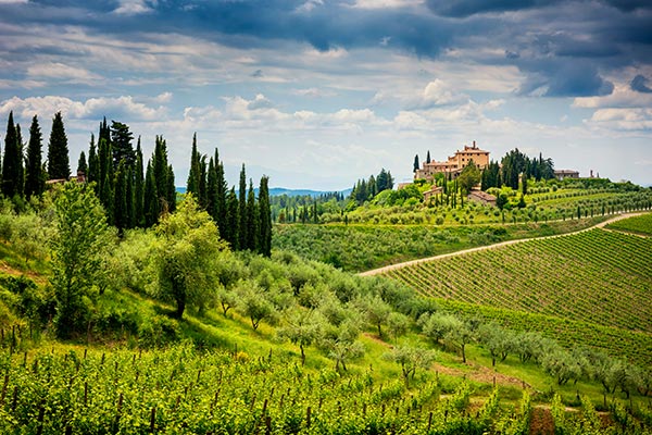 Die Region Chianti in der Toskana ist mit grünen Weinbergen gespickt