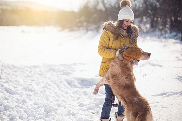 Frau in Winterjacke im Schnee spielt mit ihrem Hund