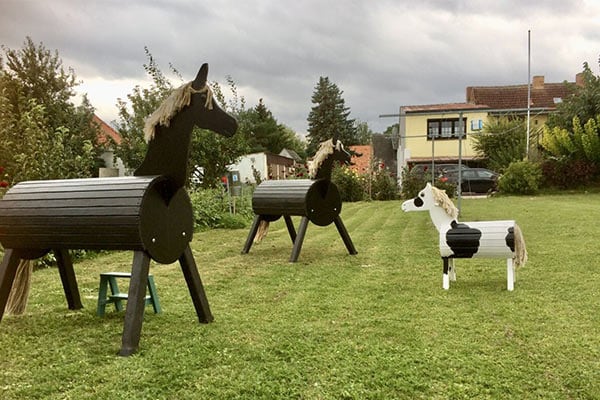 Pferdespielplatz auf dem Müritz-Hof Knust