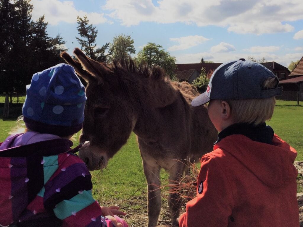 Streichelwiese auf dem Müritz-Hof Knust