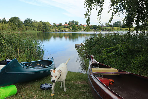 Hund am Plätlinsee zwischen Kanus