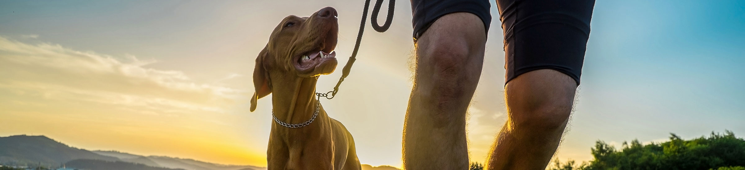 Mann mit Hund bei Sonnenuntergang