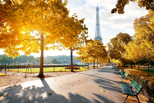 Blick auf den Eiffelturm im Herbst