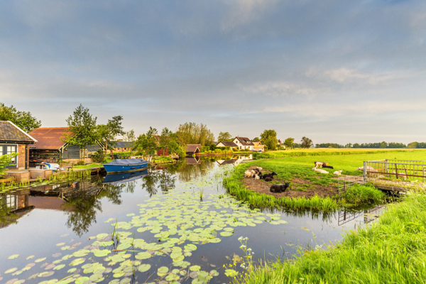Grüne Wiesen und Kanal im grünen Herz Hollands