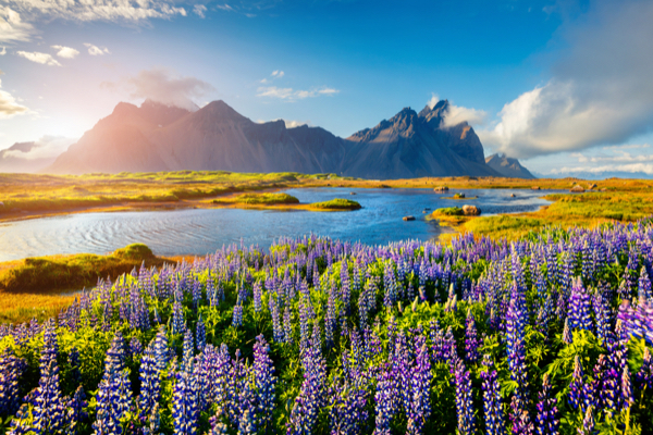 Landschaft mit Blick auf die Berge in Island