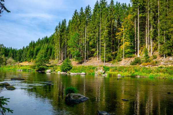 Fluss im Bayerischen Wald