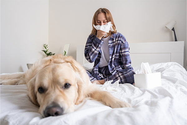 Weibliche Allergikerin mit einem Hund auf dem Bett