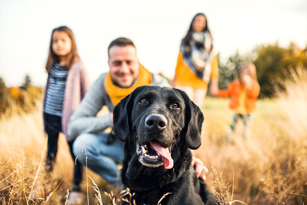 Hund im Vordergrund mit Familie im Hintergrund als typische Zielgruppe für Ferienunterkünfte